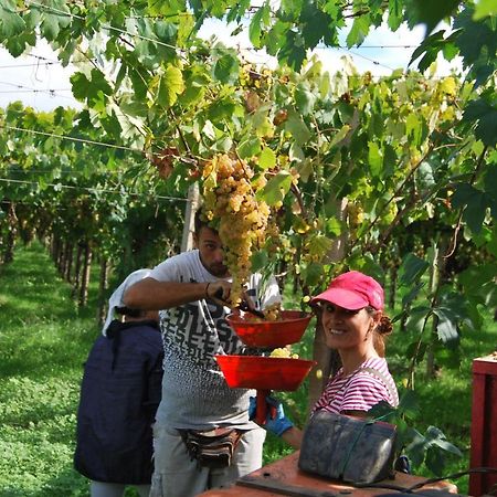 Agriturismo Torre Cristina Aprilia Luaran gambar