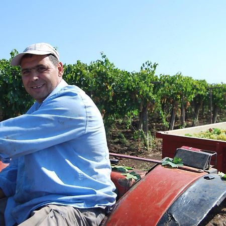 Agriturismo Torre Cristina Aprilia Luaran gambar