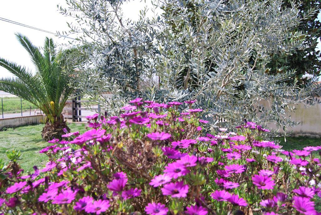 Agriturismo Torre Cristina Aprilia Luaran gambar