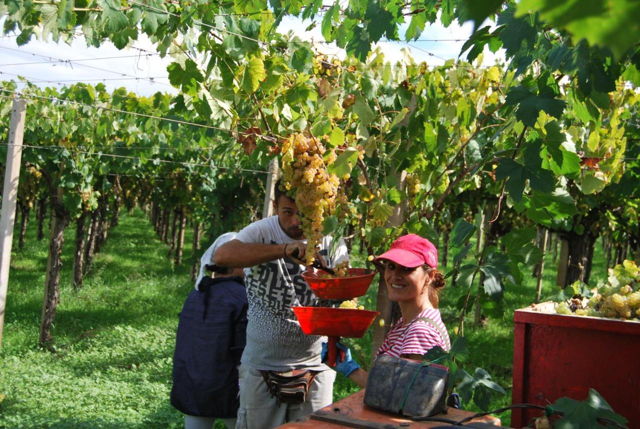 Agriturismo Torre Cristina Aprilia Luaran gambar